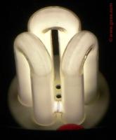 A_close-up_of_a_compact_fluorescent_lamp
