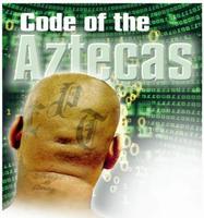 20081124_102832_aztecascode_300