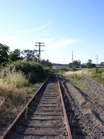 Railwithtrail
