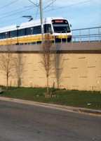 Dart_reco_p_lightrail_tx