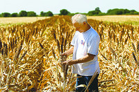 Na-az271_drough_d_20090727184023