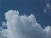 Clean_air-777654