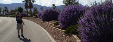 Senator Shapleigh takes a photo of Purple Sage in El Paso